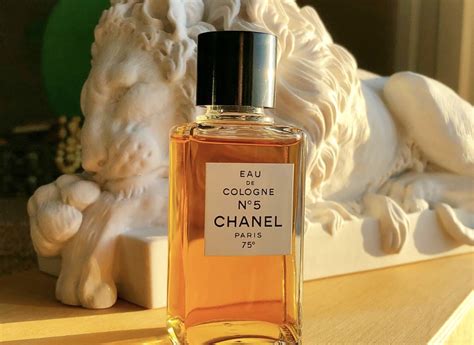 chanel versace uu mi piace|9 Best Chanel Perfumes for Women and Men in 2024, According .